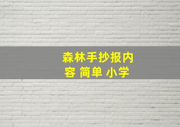 森林手抄报内容 简单 小学